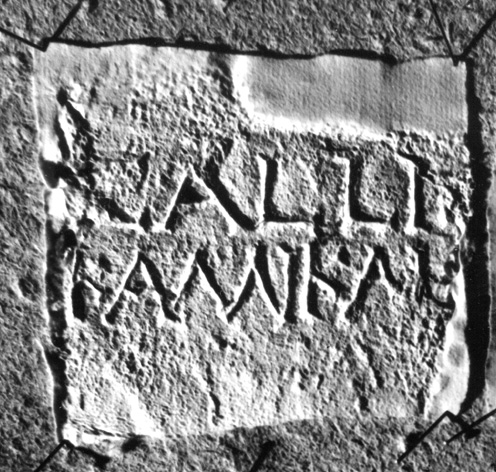 No Digitised Copy