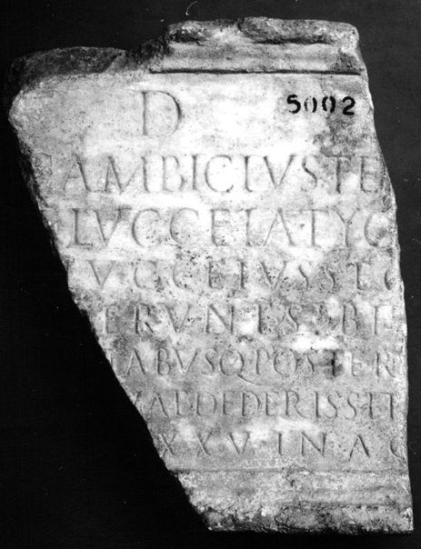 No Digitised Copy