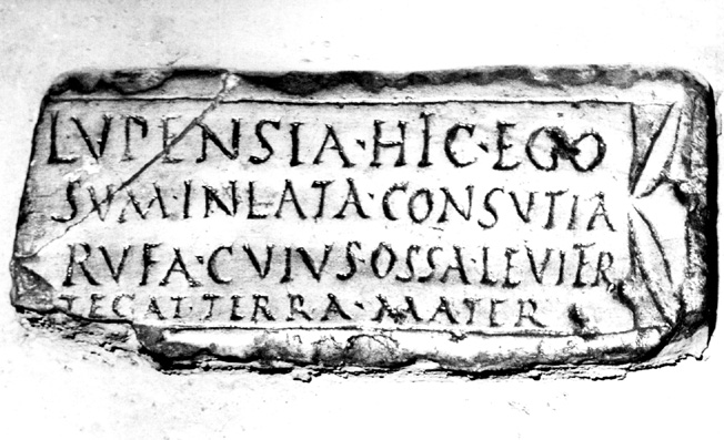 No Digitised Copy
