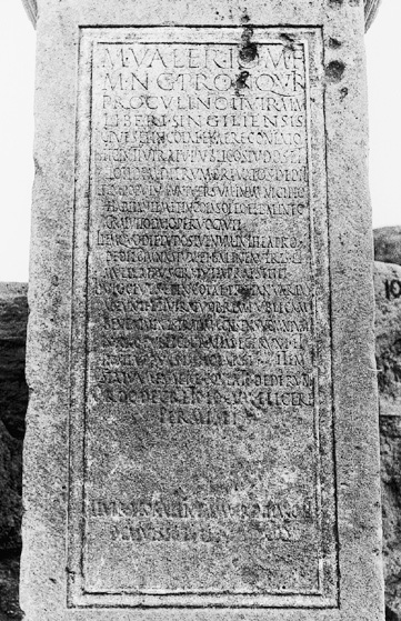 No Digitised Copy