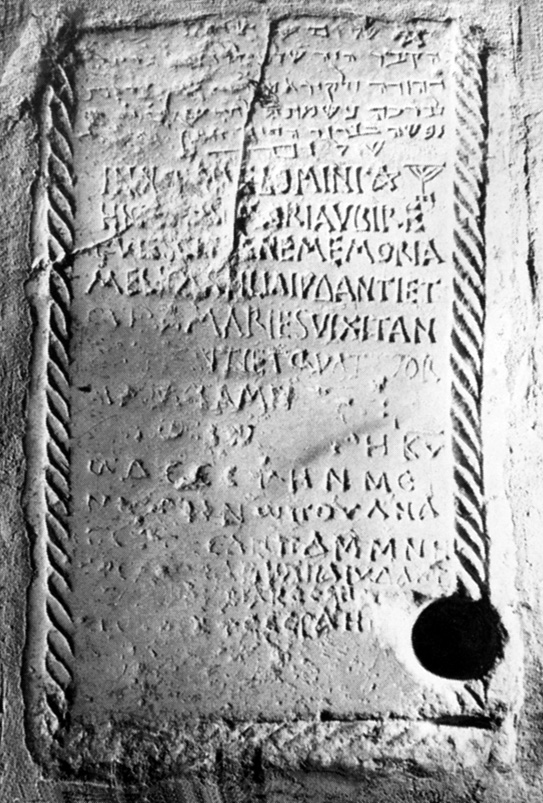 No Digitised Copy