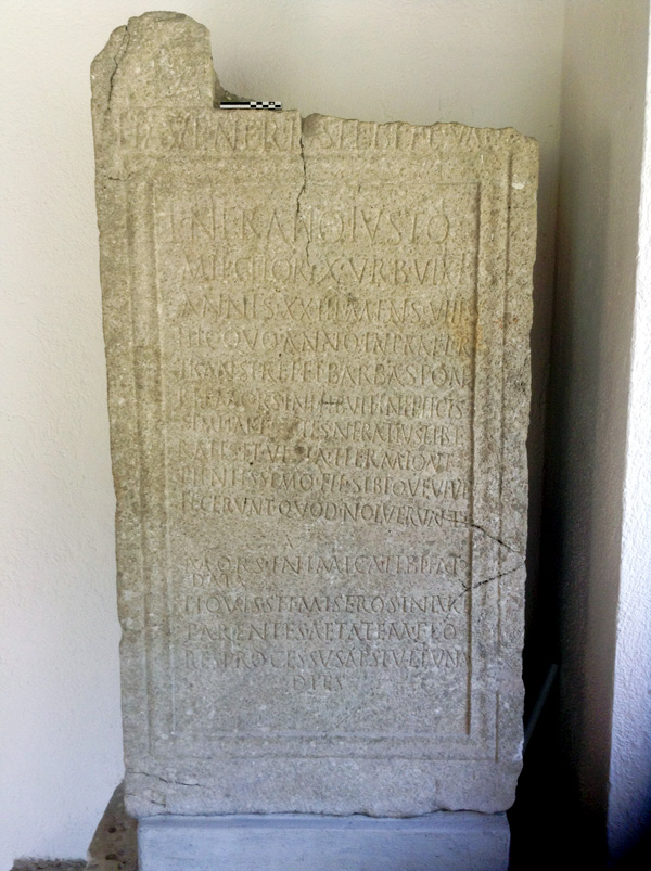 No Digitised Copy